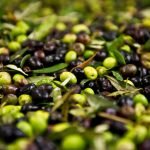 cropped-olives
